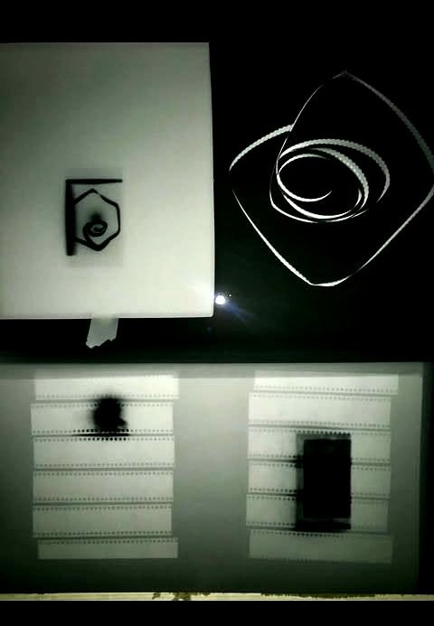cali-kurlan-analog-system-photogram-perception